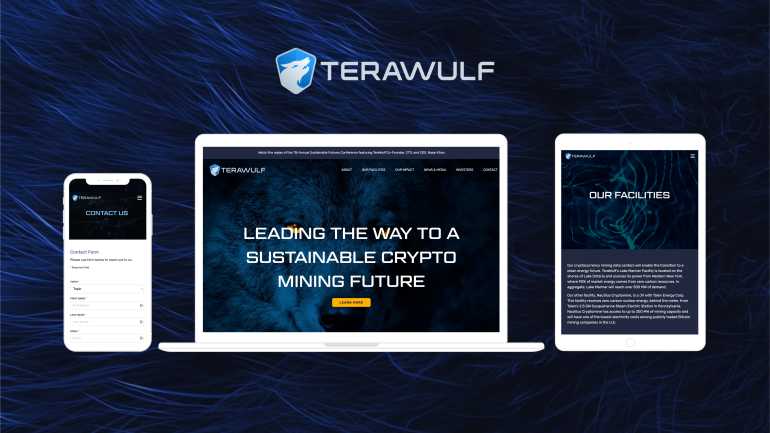 TeraWulf Website Design